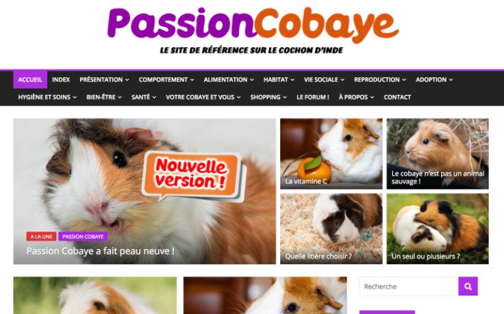 passion-cobaye